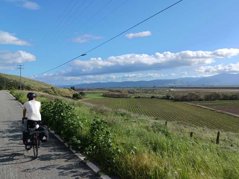 Fields in the Salinas Valley. Photo by Elliot Klein.