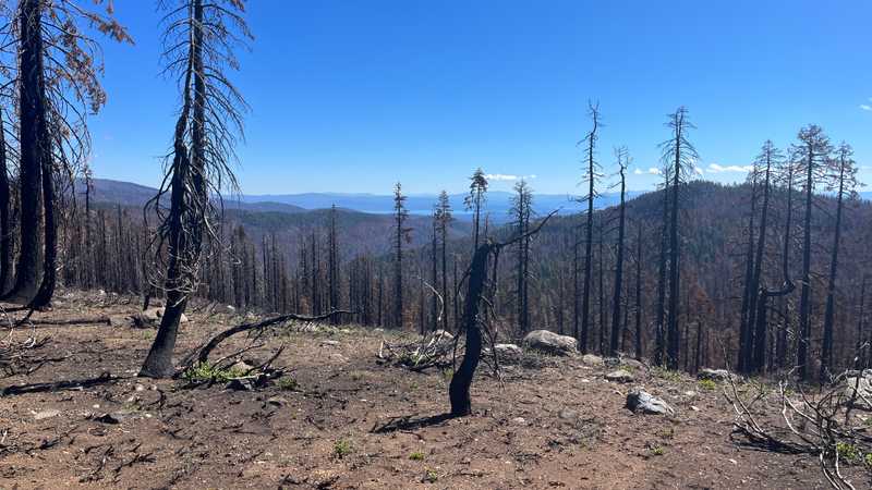 A burn scar from the Dixie Fire, the 2nd largest fire in California history