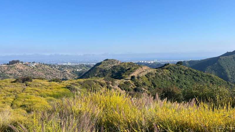 Getty View Park turns from green to yellow as as spring rains give way to summer heat