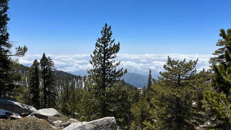 Above the clouds, approaching the summit of Mt. San Jacinto