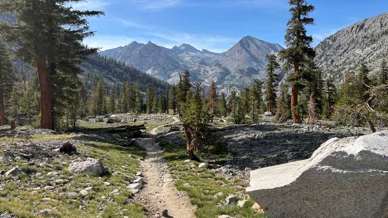 Passing through Sequoia & Kings Canyon National Parks